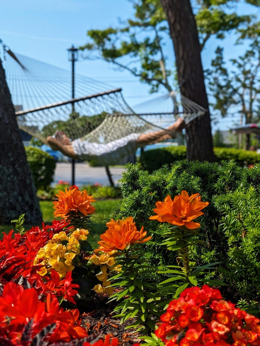 BBQ stations at Ocean View Terrace Inn